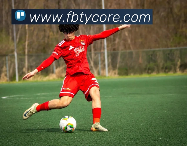 App Interface Preview